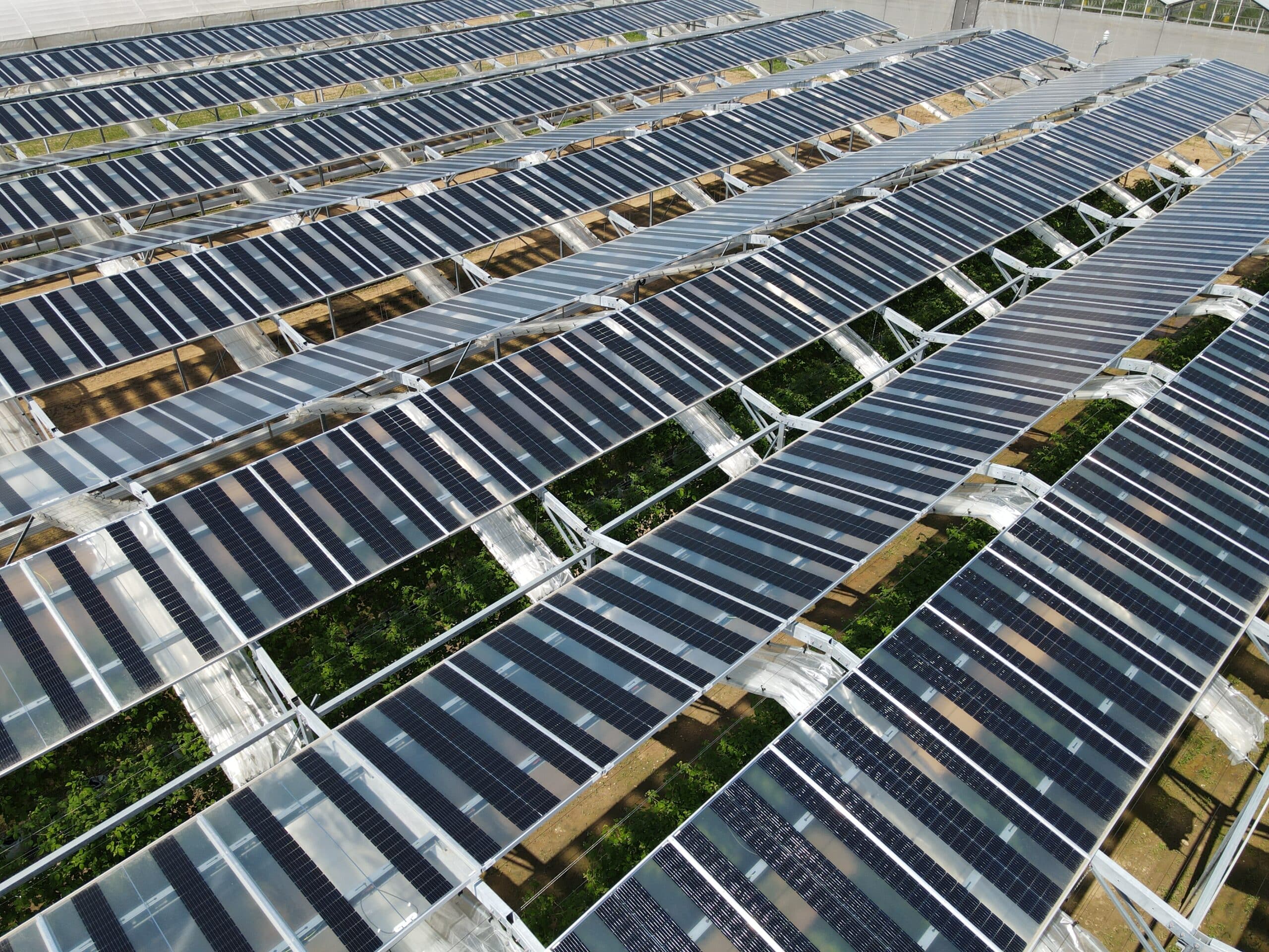 Serres solaires - agrivoltaisme - autoconsommation collective